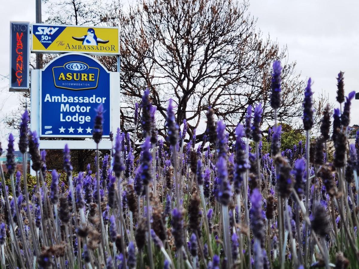 Asure Ambassador Motor Lodge Оамару Екстер'єр фото